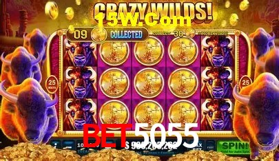 cassino Bet5055